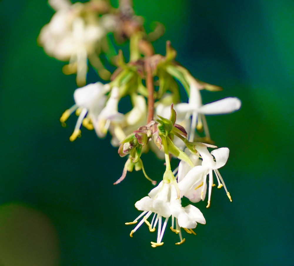 Фотография автора Вадим Коваленко