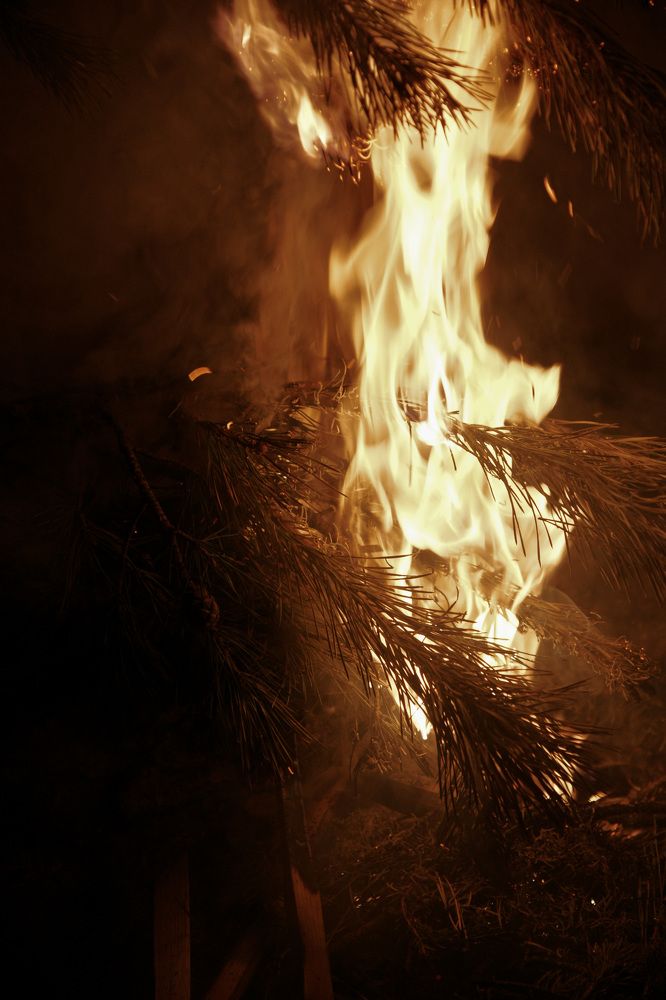 Photograph by Anton Krol