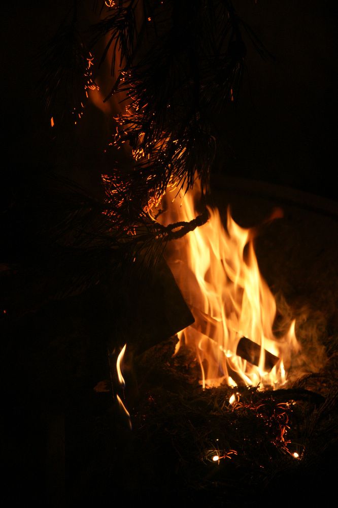 Photograph by Anton Krol