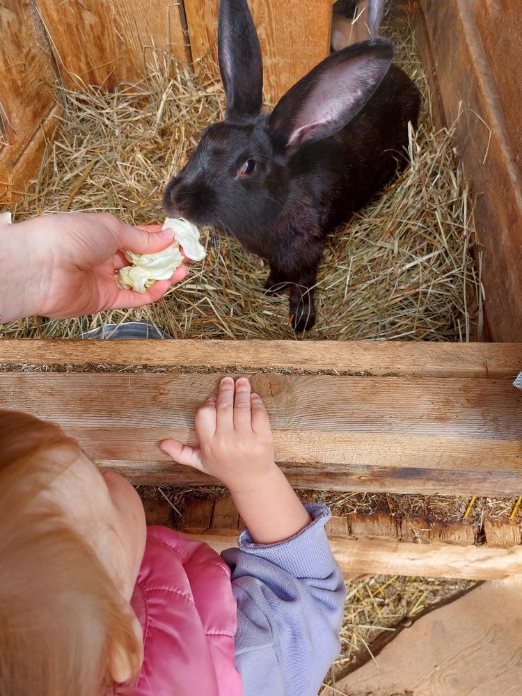 Photograph by Ирина Лучинская