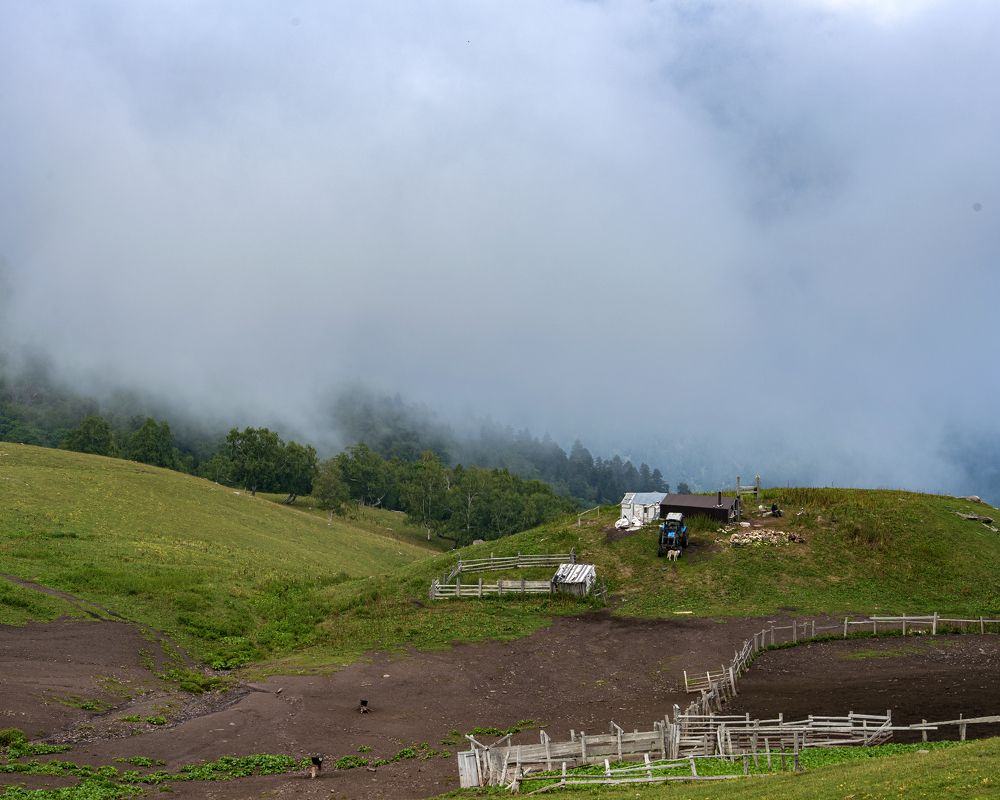 Photograph by Леонид Соснин