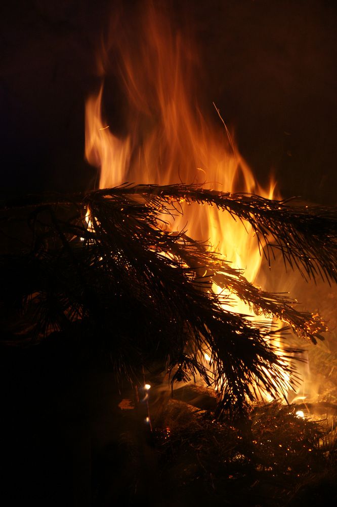 Photograph by Anton Krol