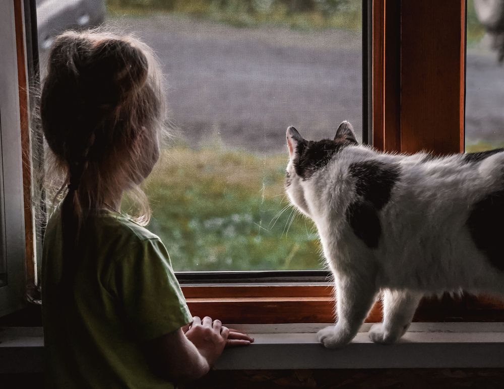 Photograph by Антонина Белозерова