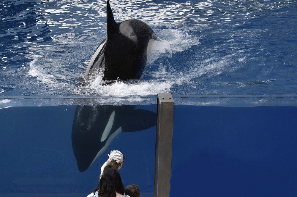 Photograph by Корнейчук Игорь