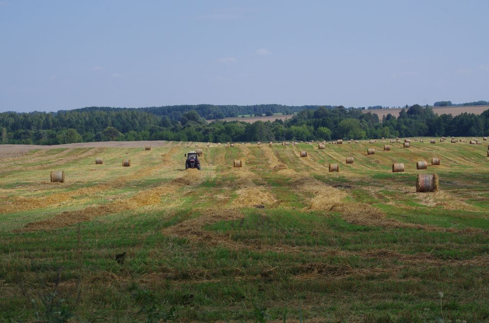 Photograph by Марина