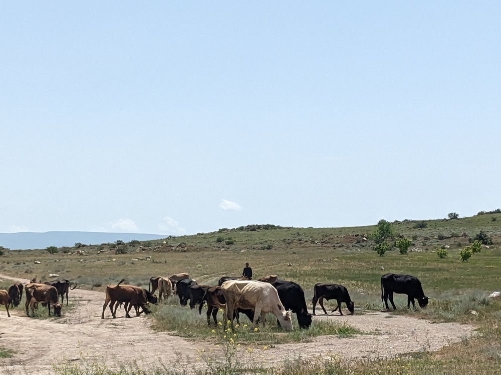 Photograph by Lilit Petrosyan