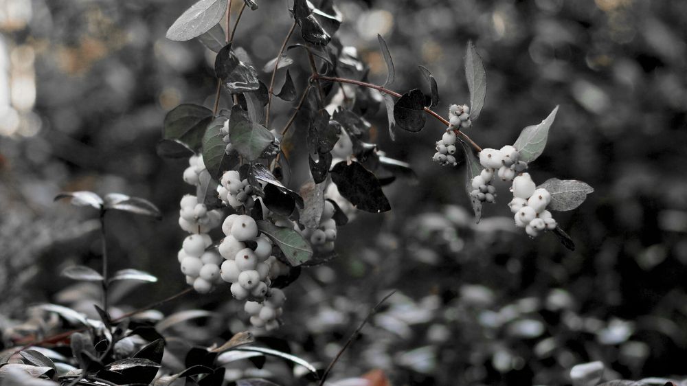 Фотография автора Вадим Коваленко