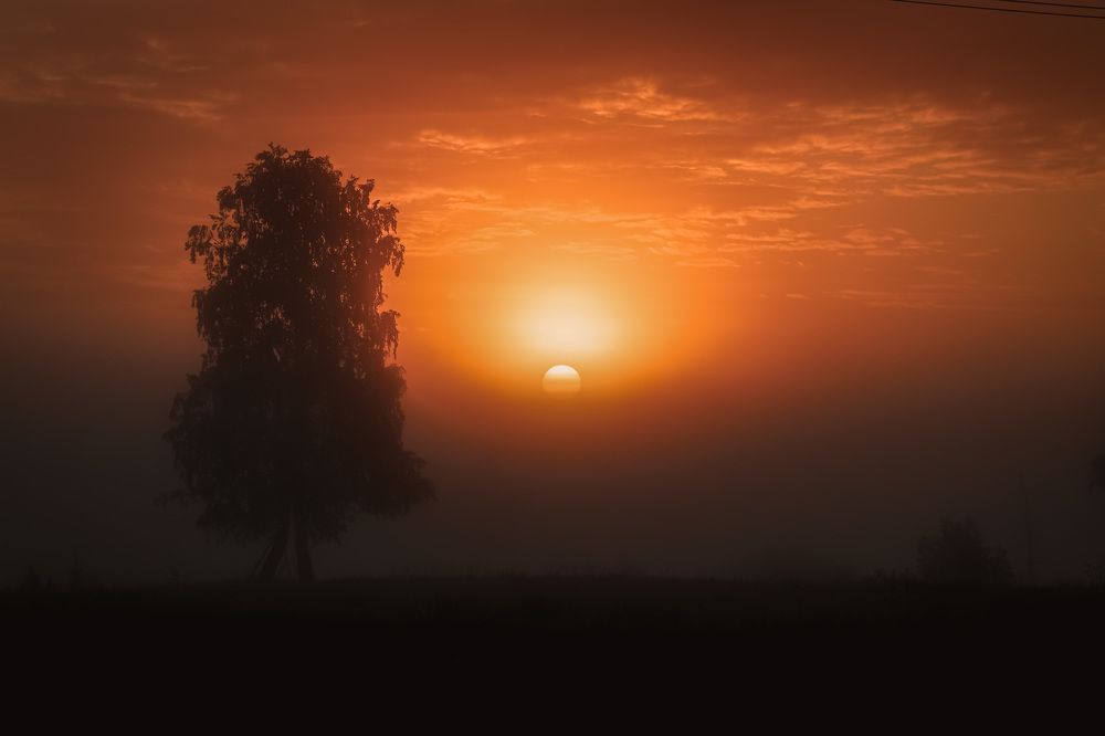 Photograph by Антонина Белозерова