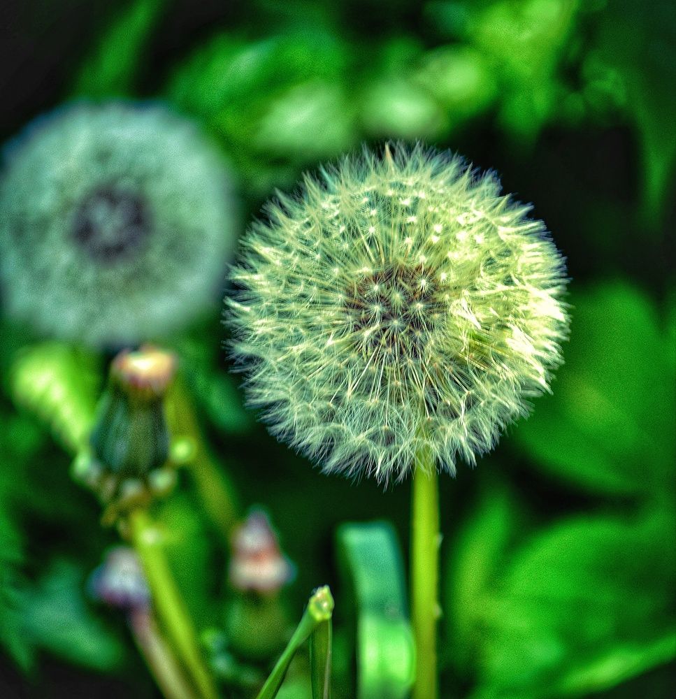 Photograph by Александр Лабутин