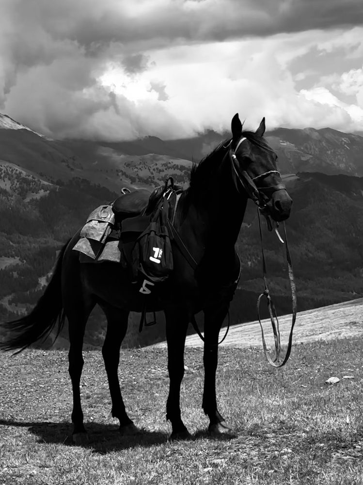 Photograph by Аленa Пономарева