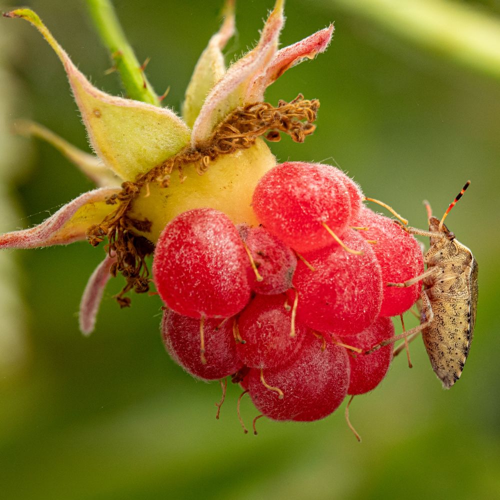 Photograph by Dmitriy Konstantinov