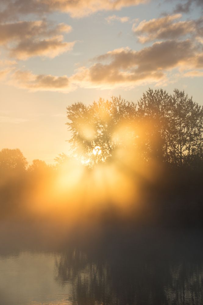Солнце сквозь туман