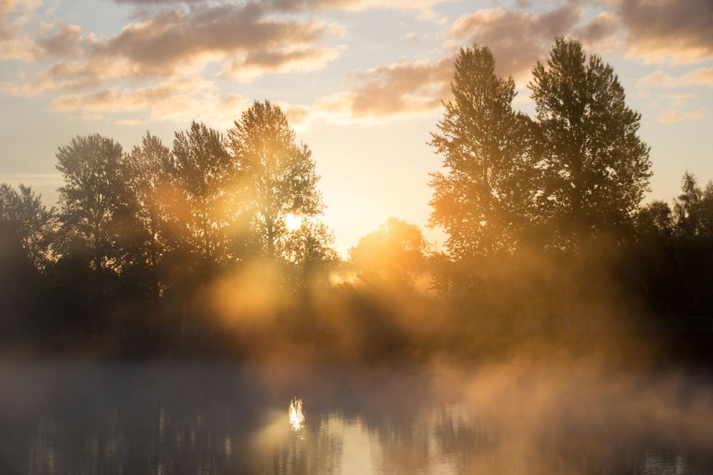 Солнце сквозь туман