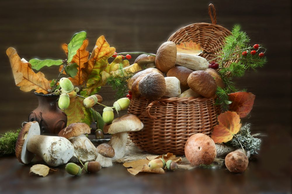 Photograph by Шруб (Беляева) Татьяна