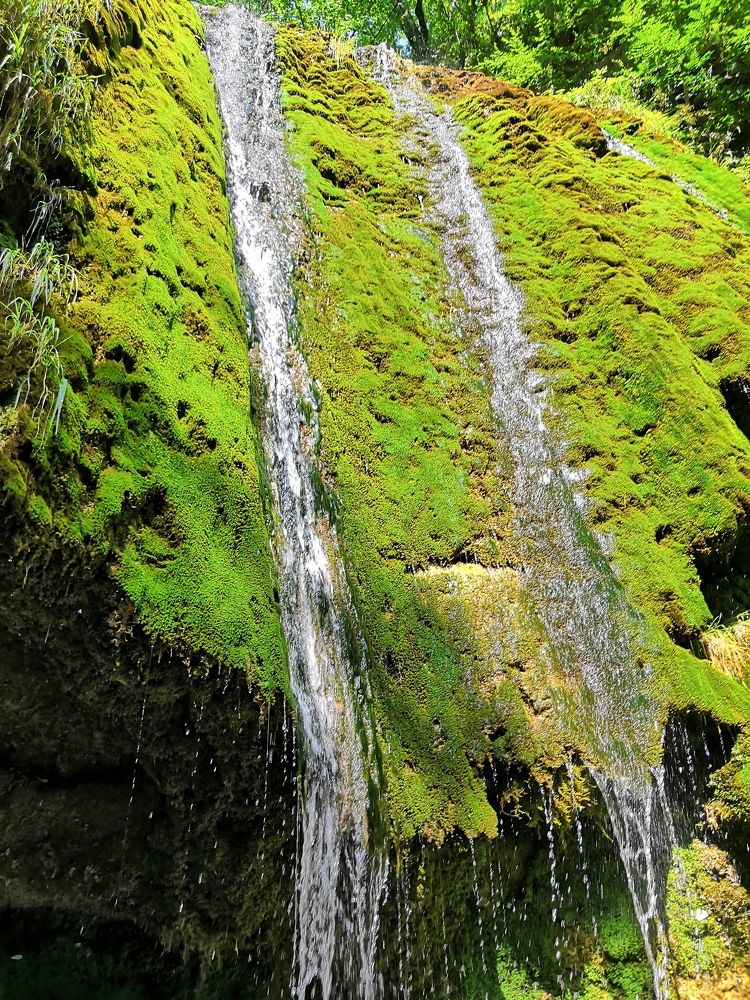 Photograph by Ольга Золотухина