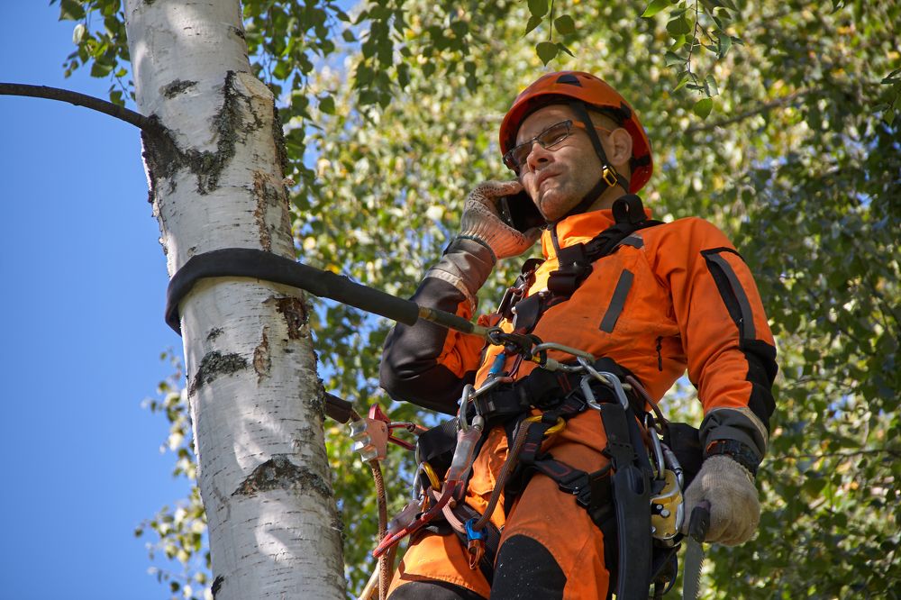 Photograph by Евгений Лапшин