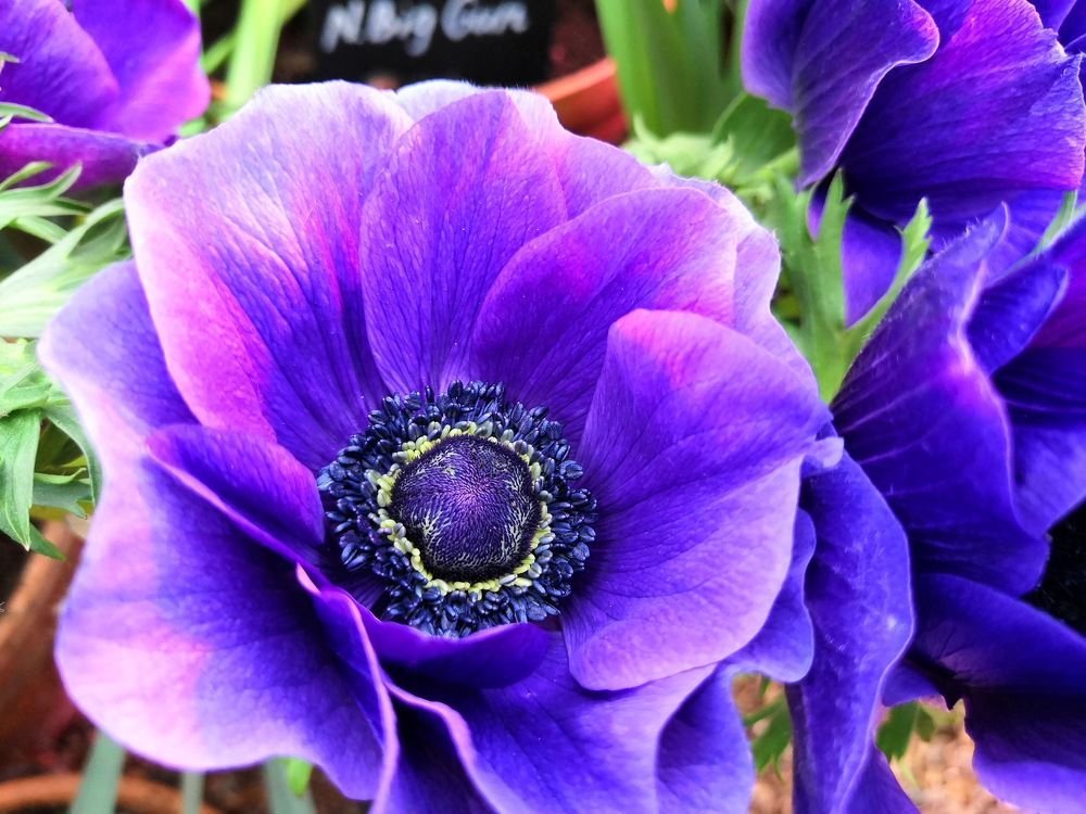 Photograph by Ольга Золотухина