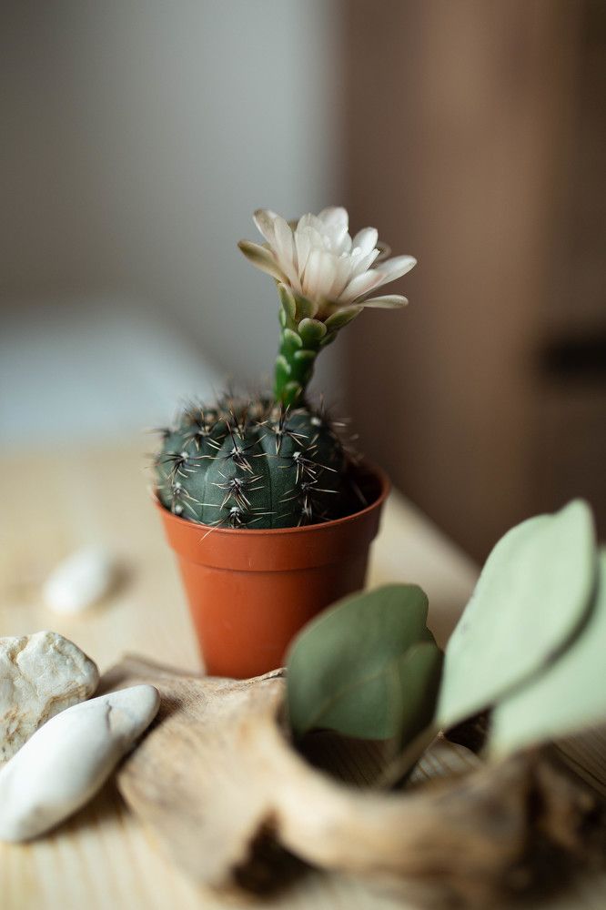 Photograph by Ольга Золотухина