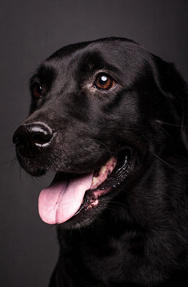 Photograph by Дёгтев Евгений