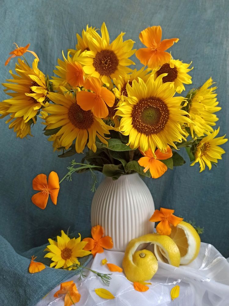 Photograph by Новикова Елена Сергеевна