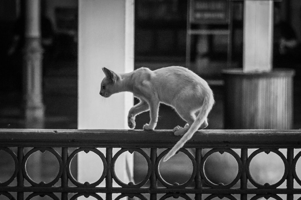 Photograph by Anton Krol