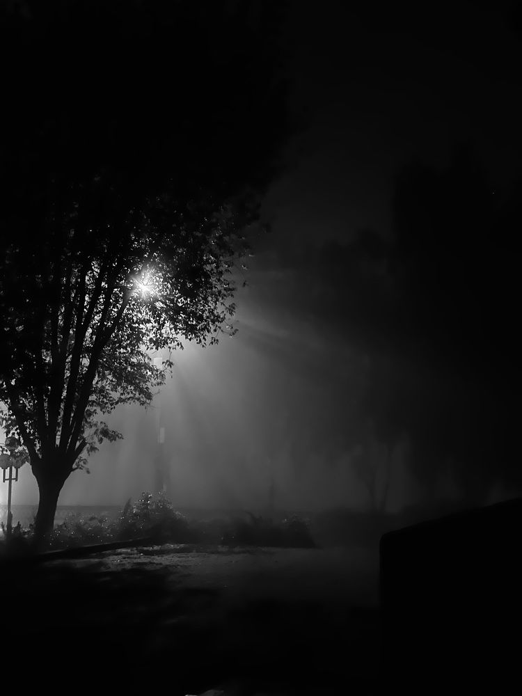 Photograph by Михаил