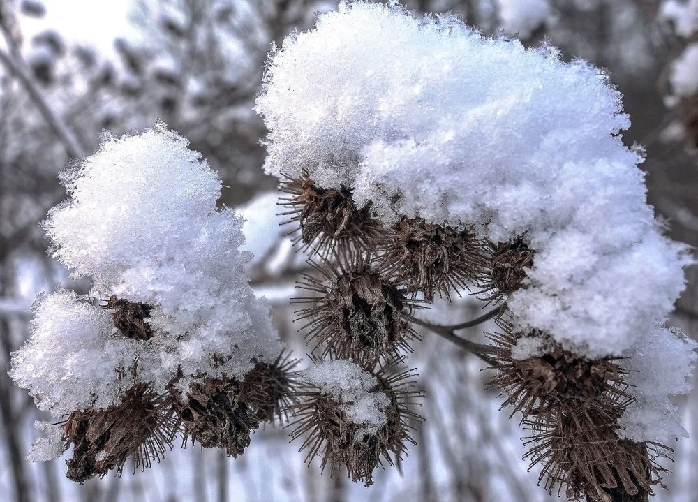 Photograph by IRINA KORNEVA