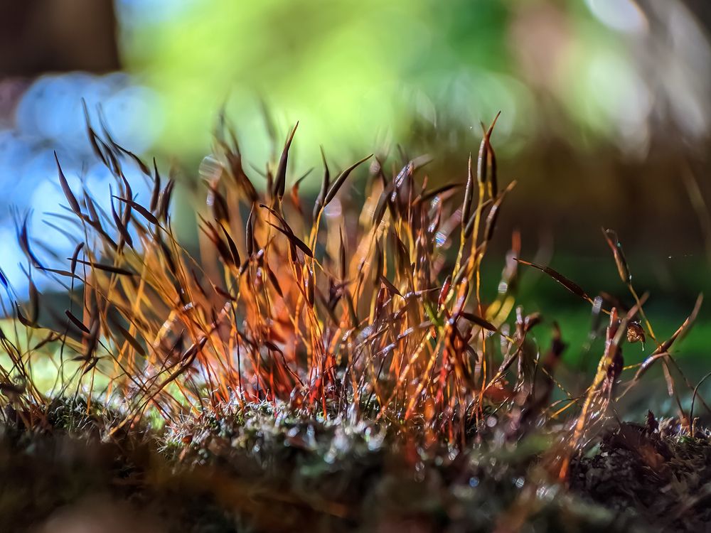 Photograph by Екатерина Котляренко