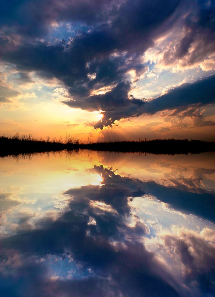 Photograph by Полина Хрол