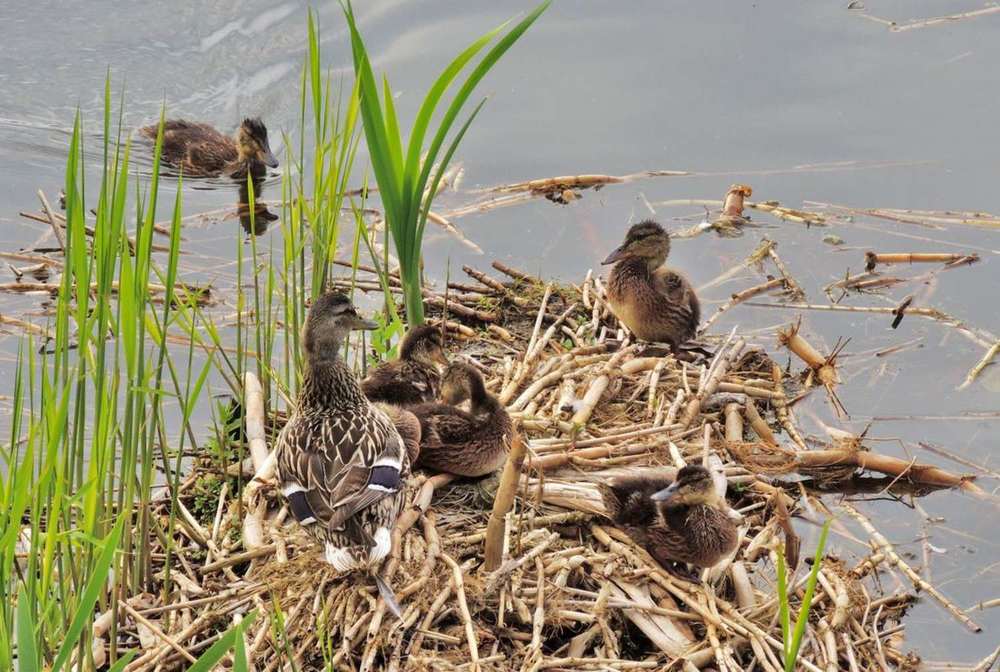 Photograph by Павел Васильев