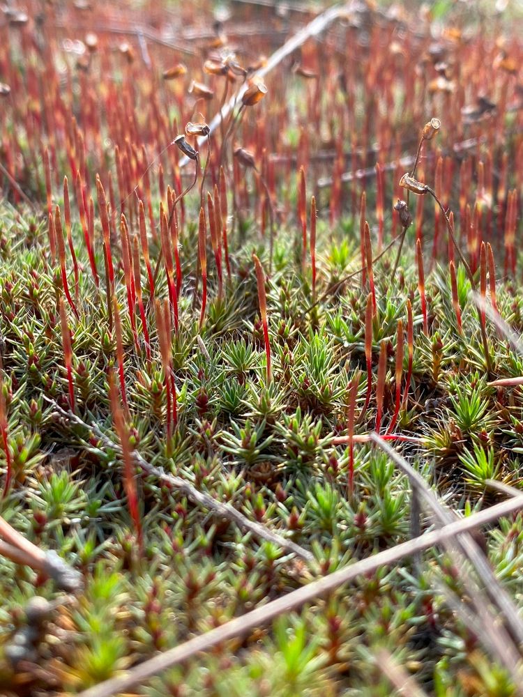 Фотография автора Александр Заикин