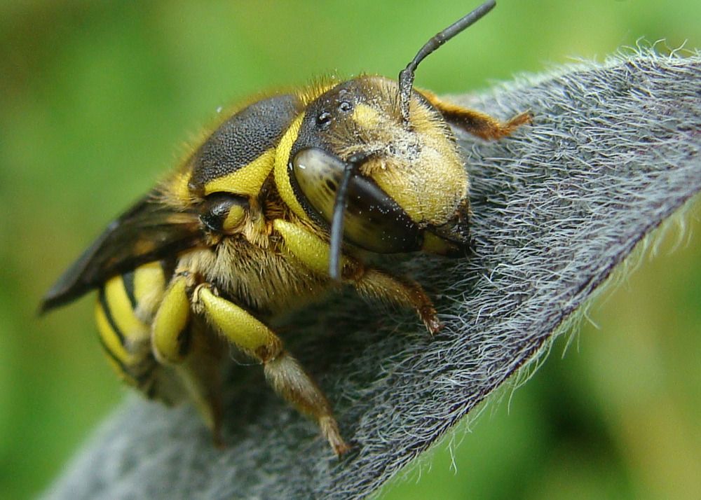 Фотография автора Павел Попов