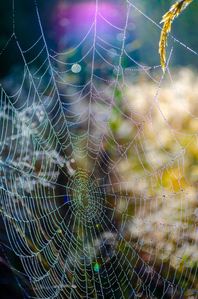 Photograph by Любовь Бусова