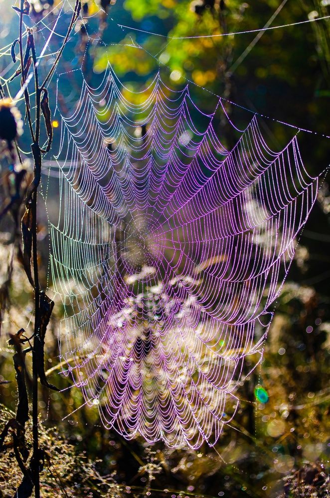 Photograph by Любовь Бусова