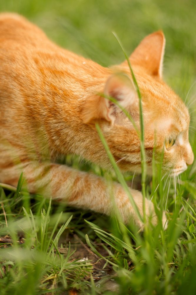 Photograph by Галина Семенова