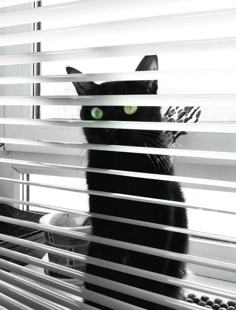 Photograph by Андрей Евтеев