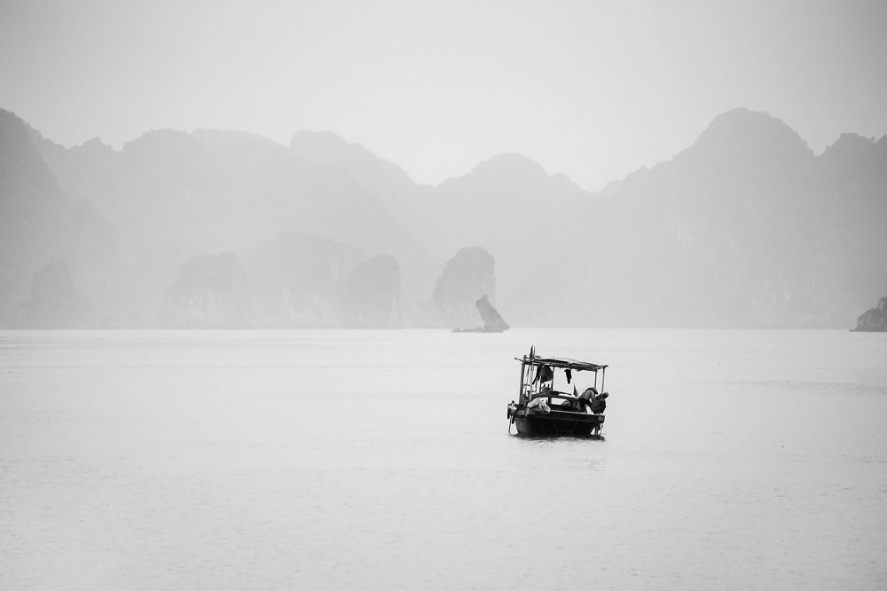 Фотография автора Vasilev Kris