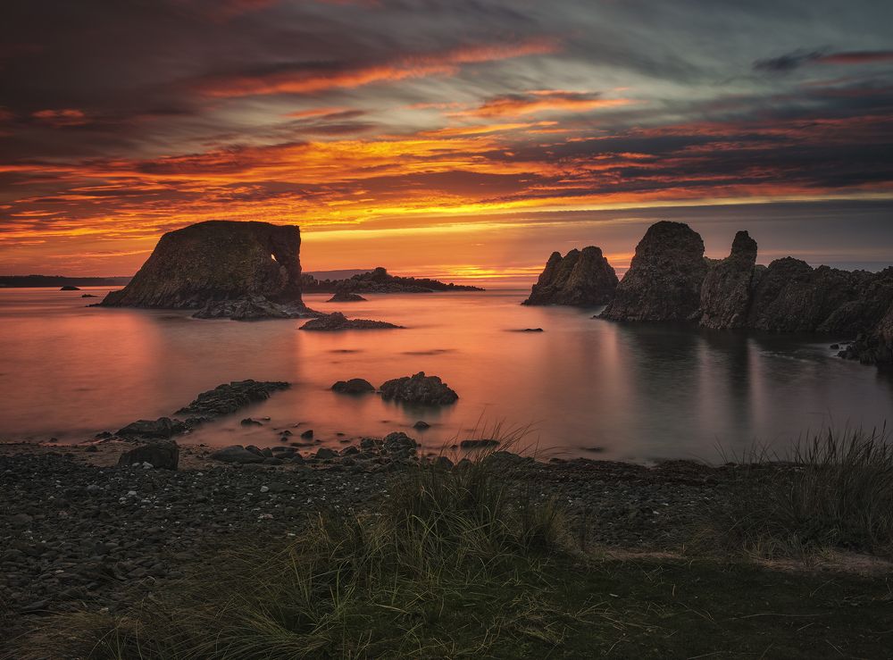 Фотография автора Vasilev Kris