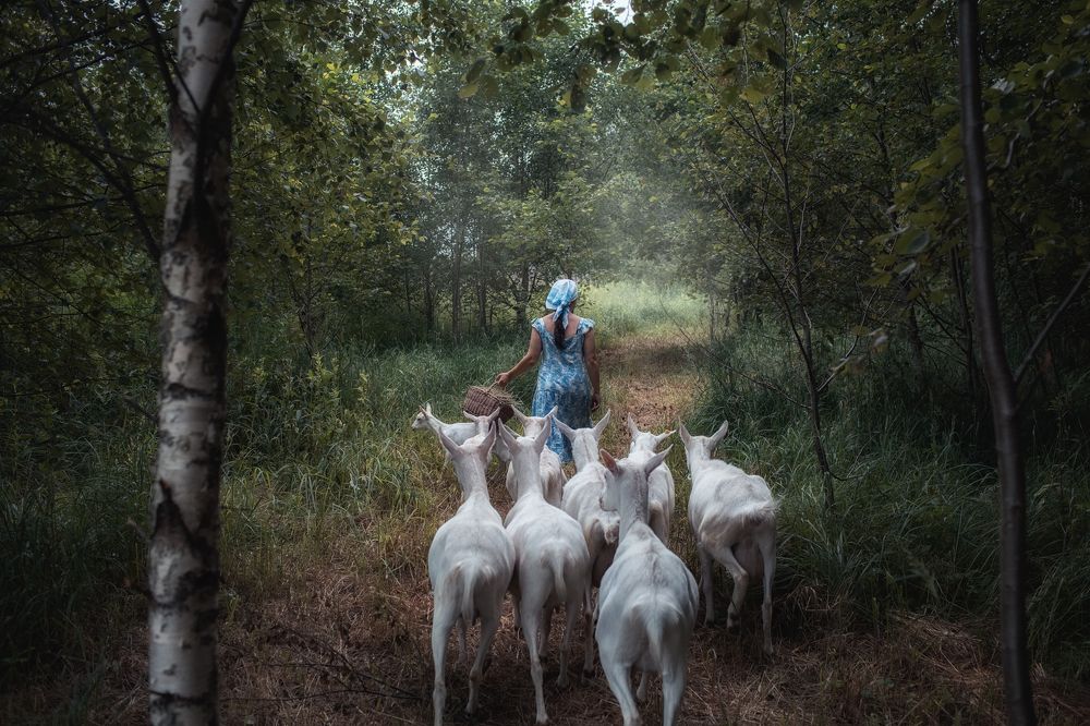 Photograph by Ирина Платонова