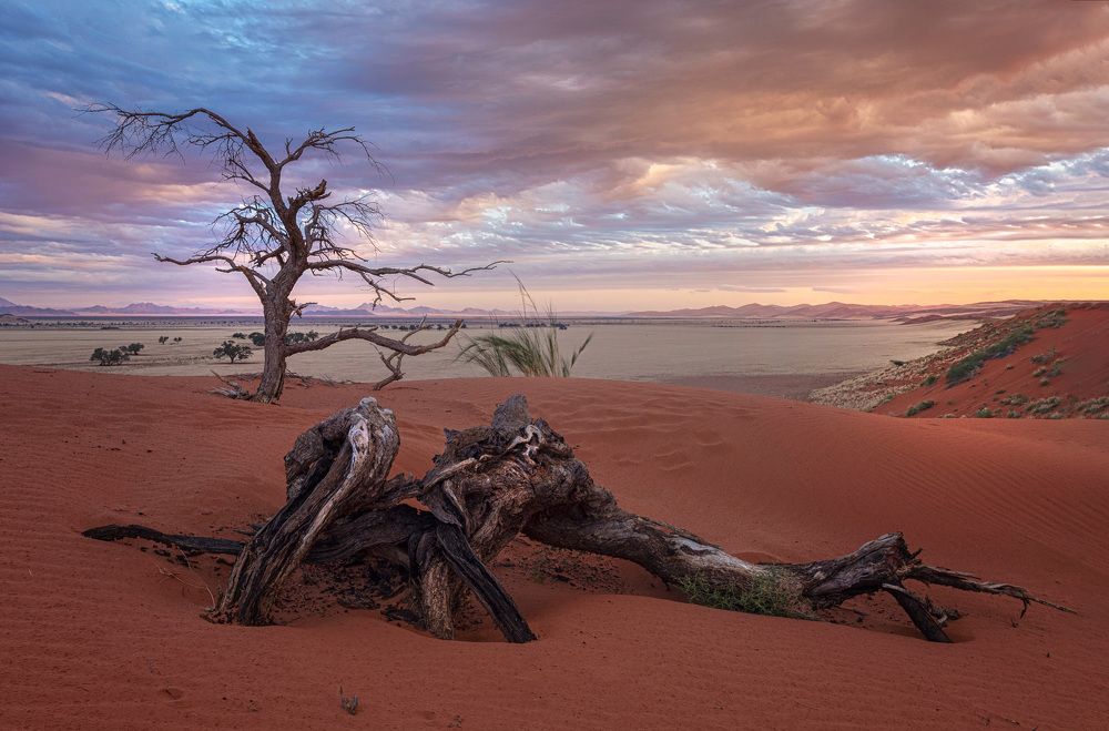 Photograph by Jose Pedrero Barrios