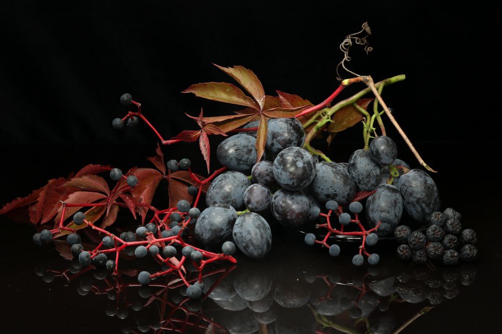 Photograph by Шруб (Беляева) Татьяна