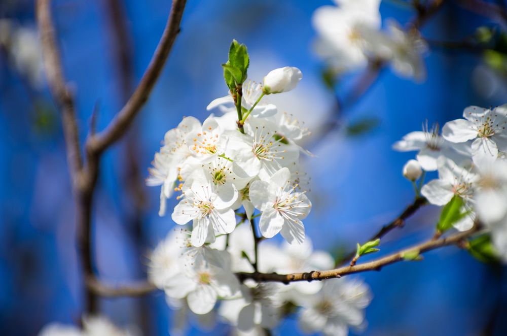 Photograph by Роман Приходько