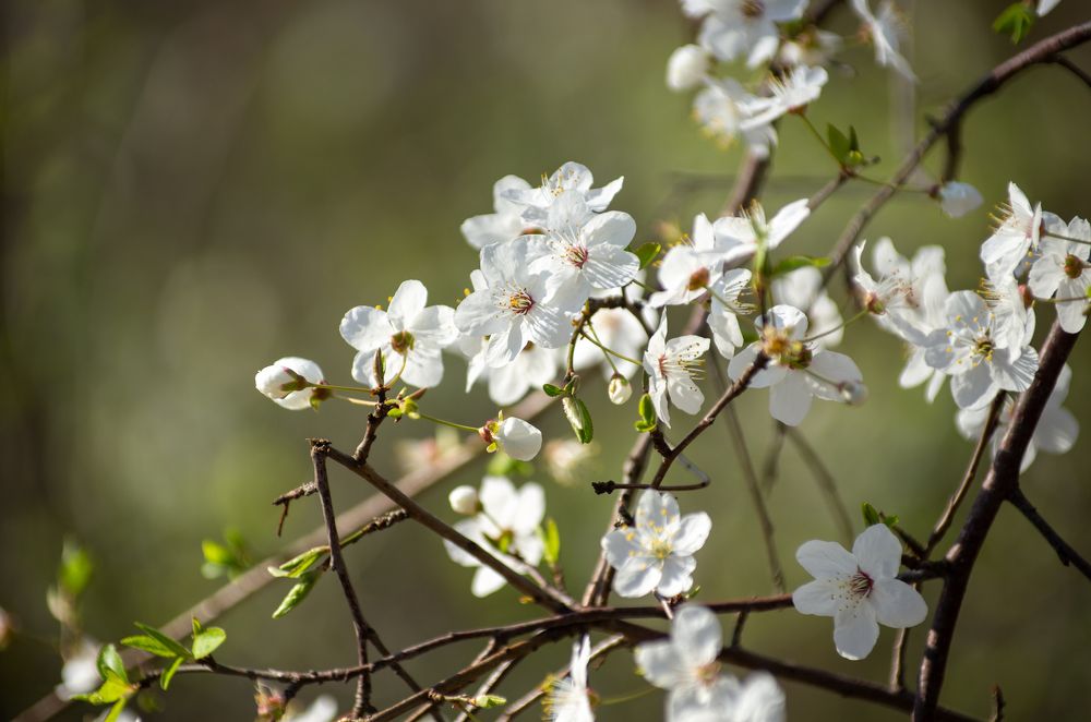 Photograph by Роман Приходько
