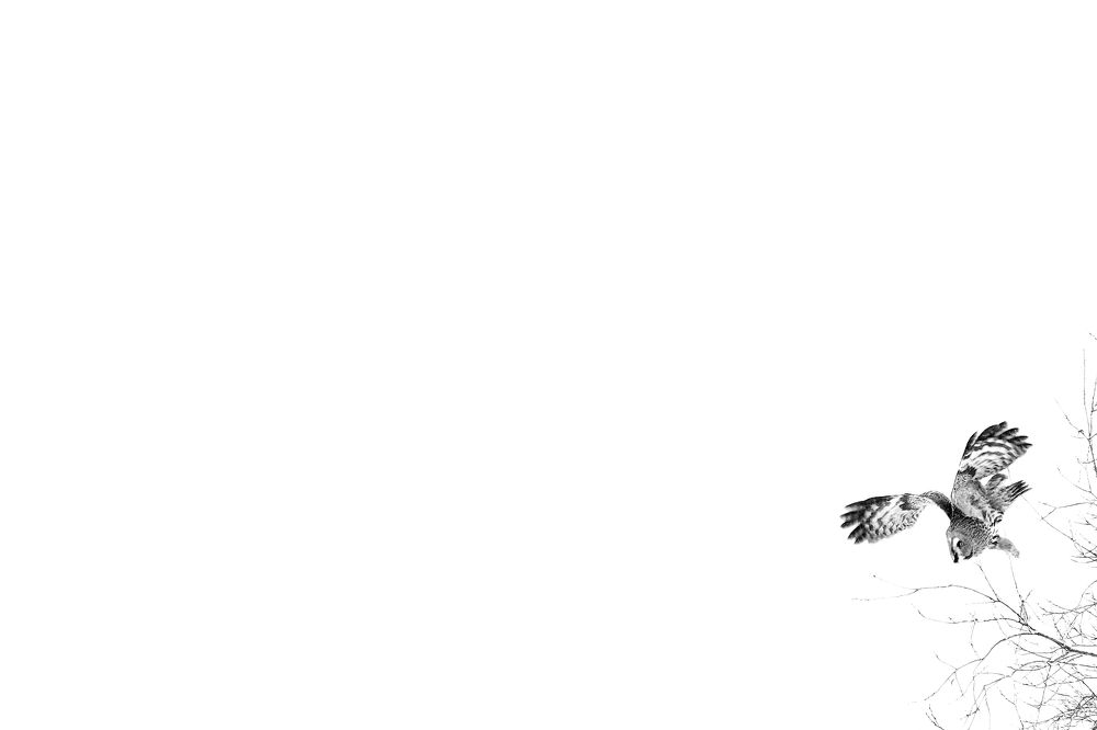 Фотография автора Martineb