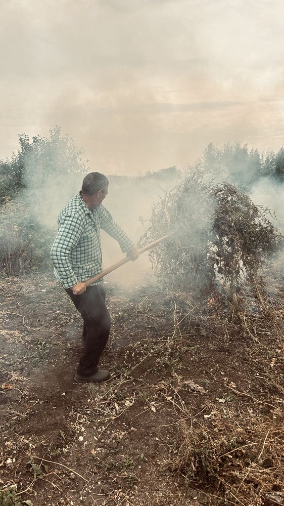 Photograph by Елена Гущина