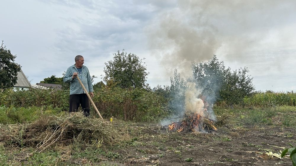 Photograph by Елена Гущина