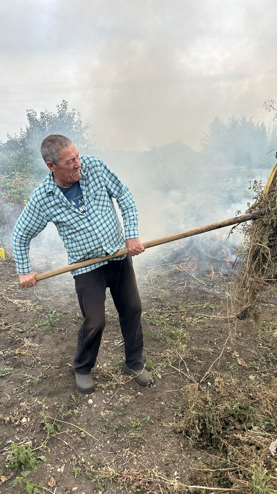 Photograph by Елена Гущина