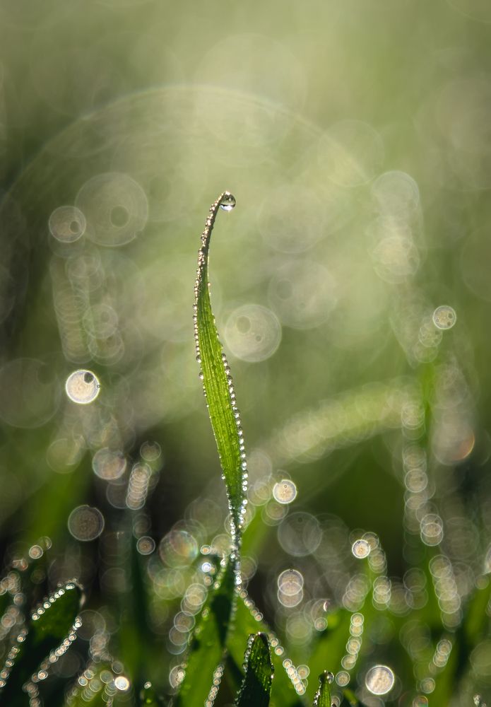 Photograph by Ирина Толокновская