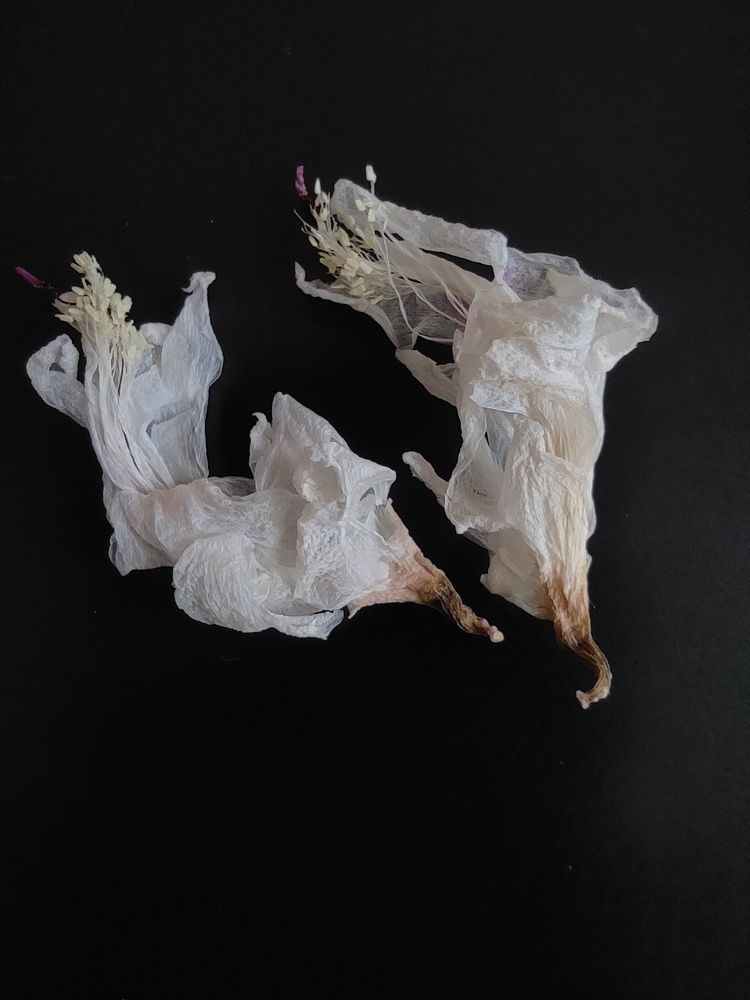 Photograph by Светлана Холодова