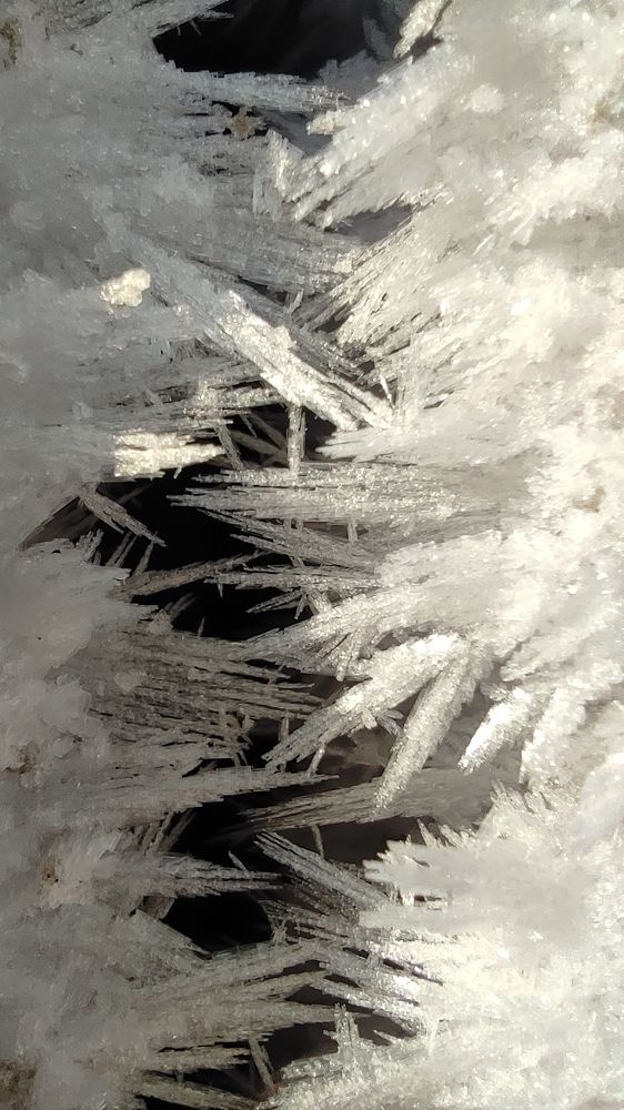 Photograph by Светлана Холодова